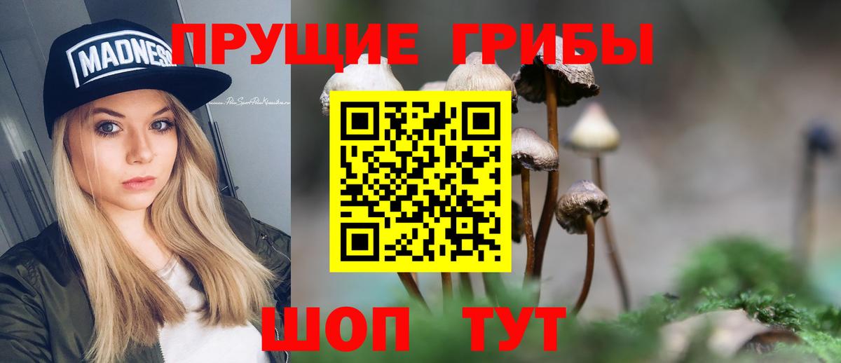 Сергиев Посад  Псилоцибиновые грибы прущие грибы  Вход с VPN 